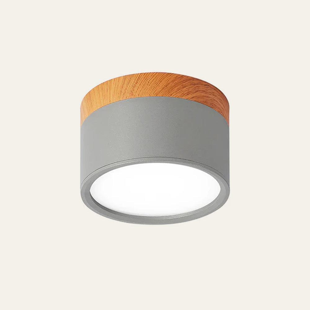 LIGHTS & BRIGHTS | Cylinder Flush Mount LED Ceiling Light for Modern Home