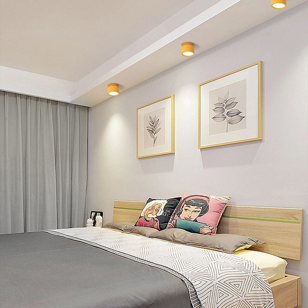 LIGHTS & BRIGHTS | Cylinder Flush Mount LED Ceiling Light for Modern Home