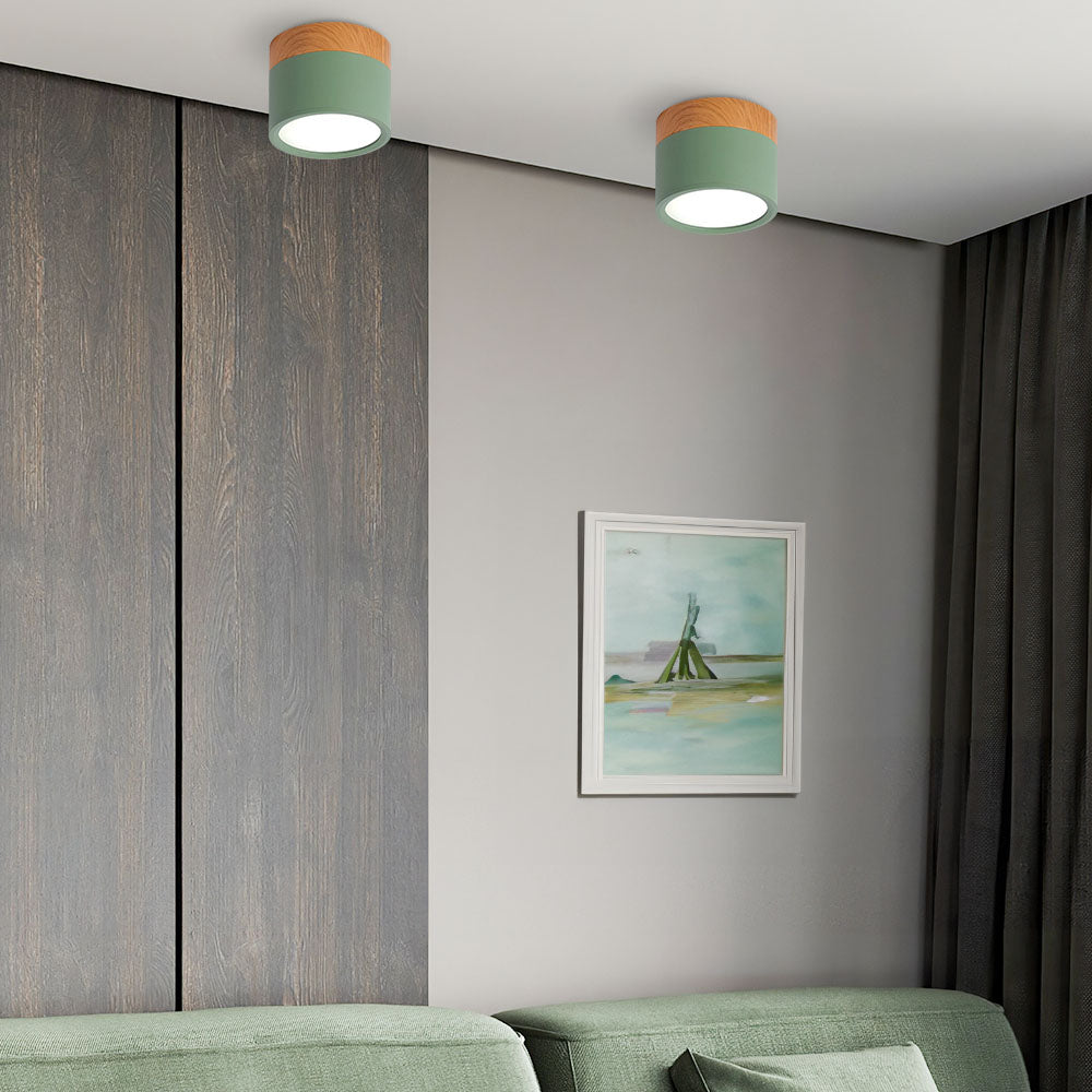 LIGHTS & BRIGHTS | Cylinder Flush Mount LED Ceiling Light for Modern Home
