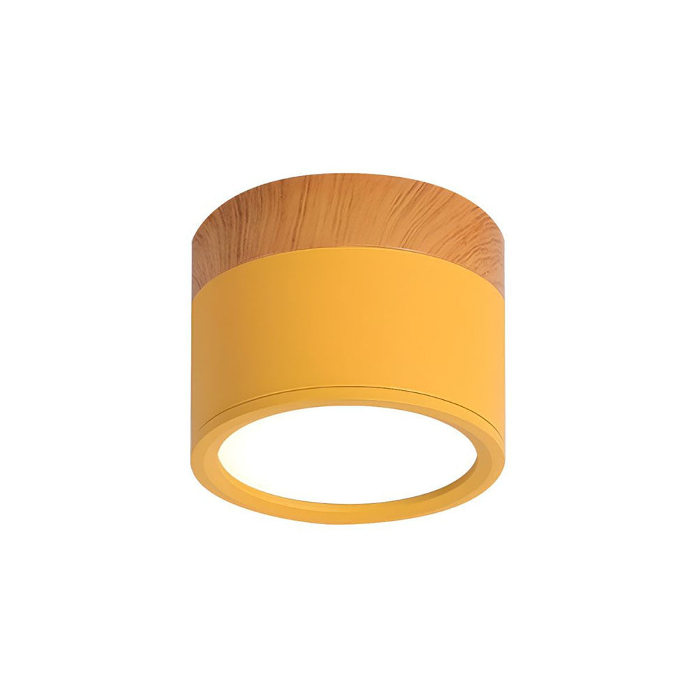 LIGHTS & BRIGHTS | Cylinder Flush Mount LED Ceiling Light for Modern Home