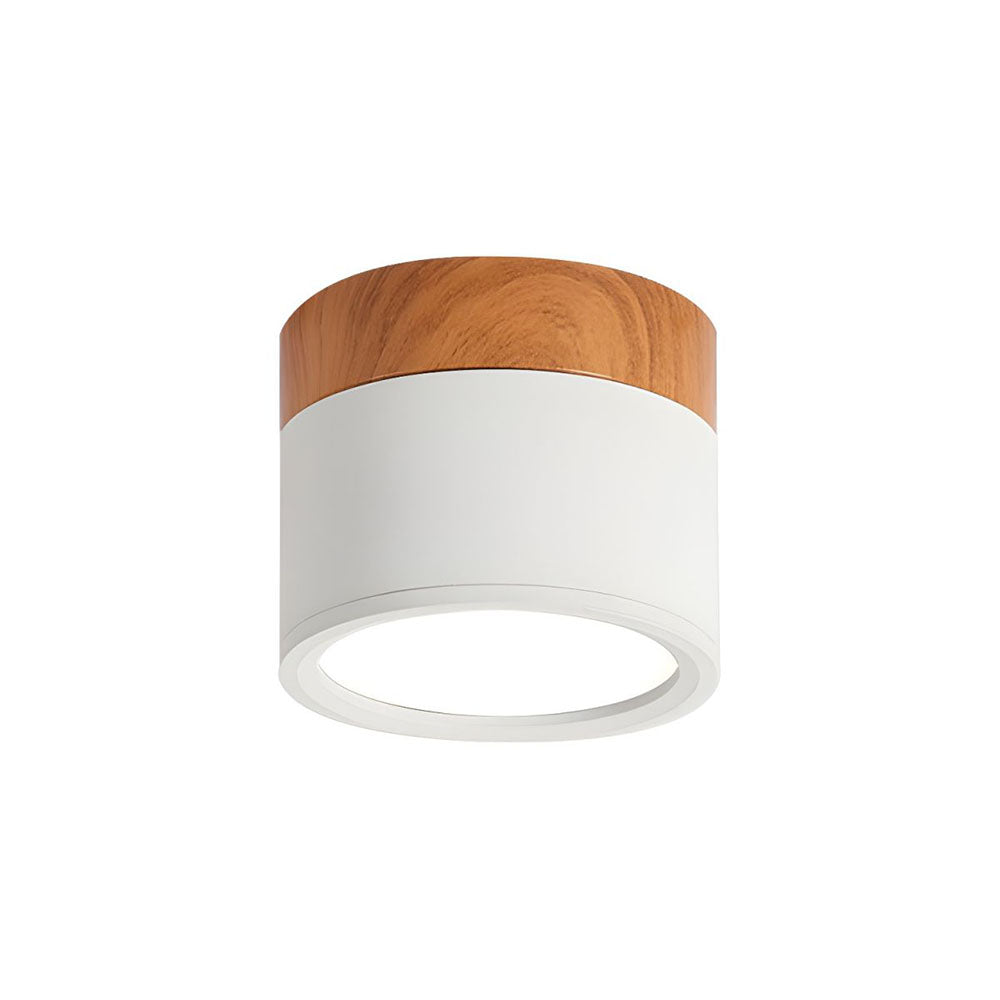 LIGHTS & BRIGHTS | Cylinder Flush Mount LED Ceiling Light for Modern Home