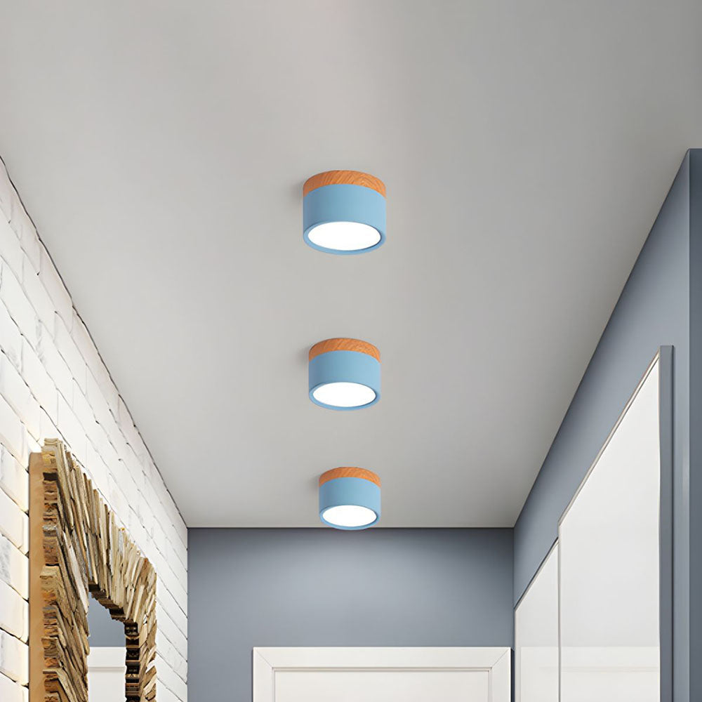 LIGHTS & BRIGHTS | Cylinder Flush Mount LED Ceiling Light for Modern Home