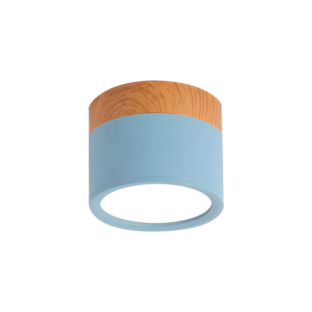 LIGHTS & BRIGHTS | Cylinder Flush Mount LED Ceiling Light for Modern Home