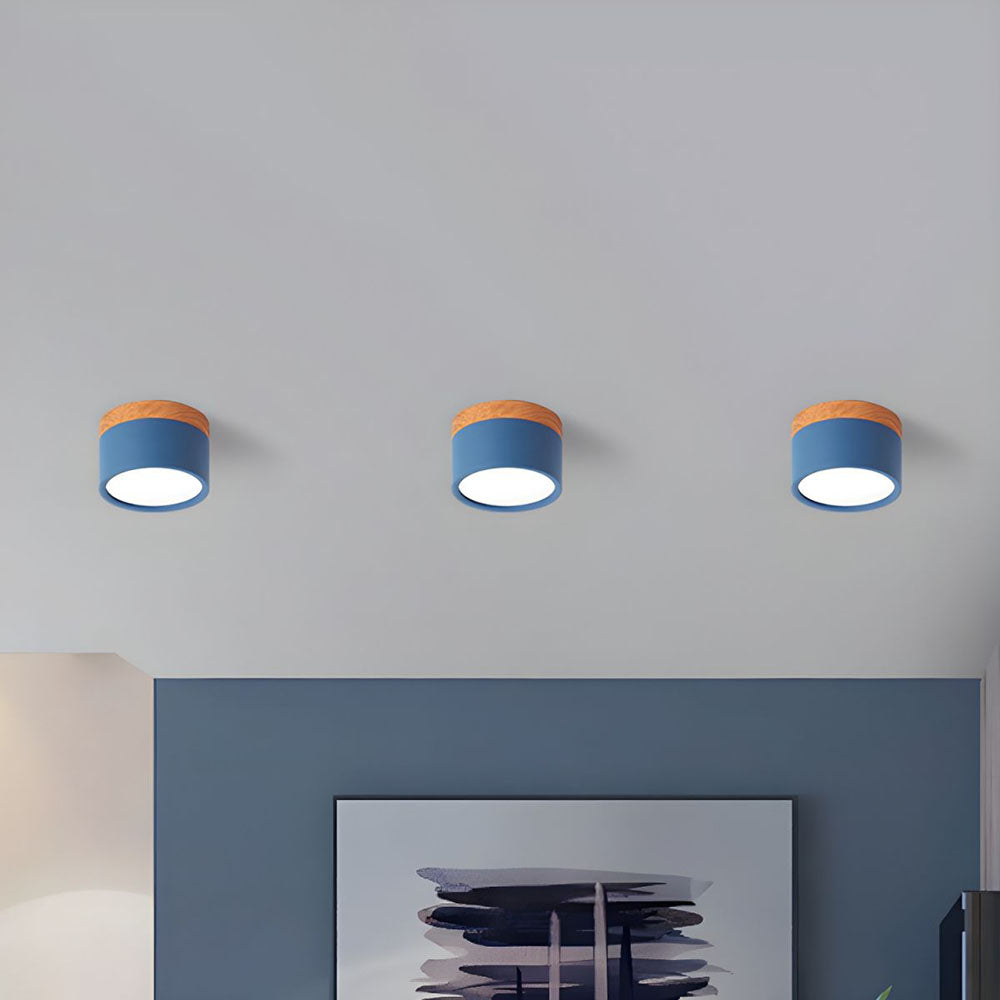 LIGHTS & BRIGHTS | Cylinder Flush Mount LED Ceiling Light for Modern Home