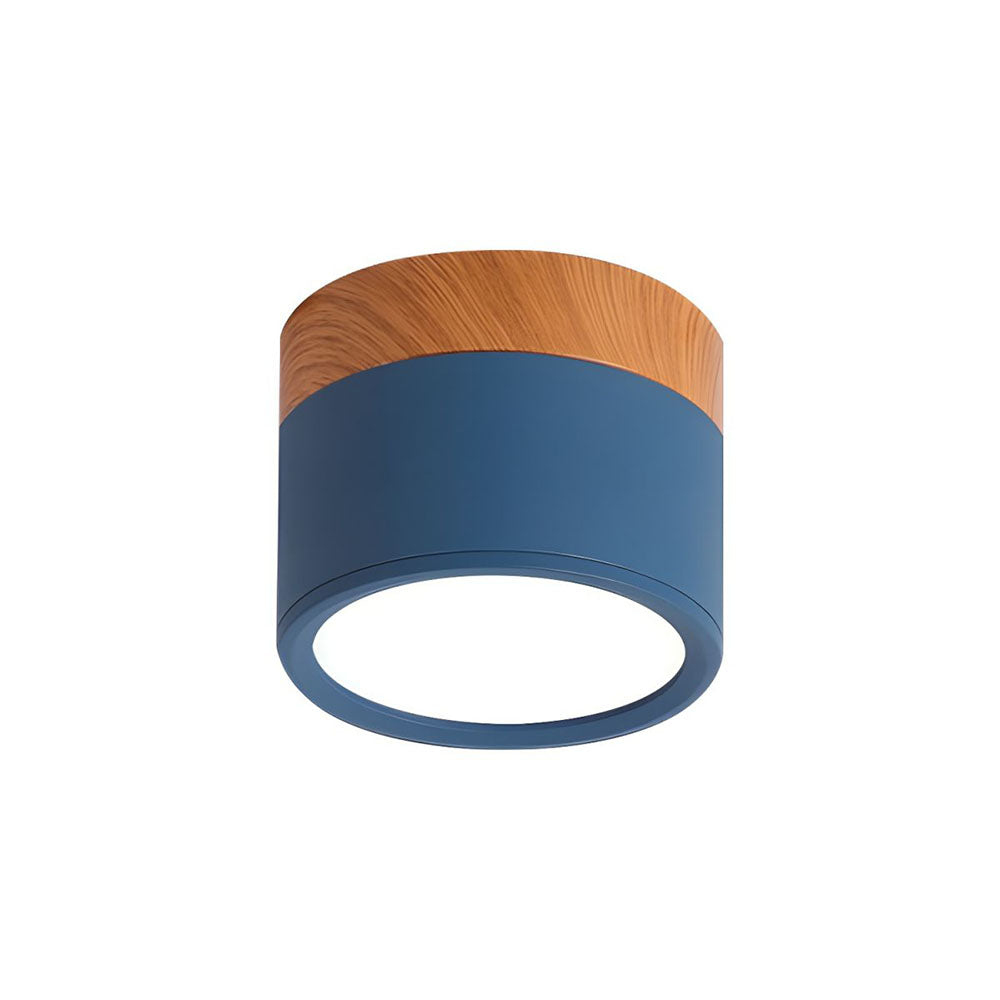 LIGHTS & BRIGHTS | Cylinder Flush Mount LED Ceiling Light for Modern Home