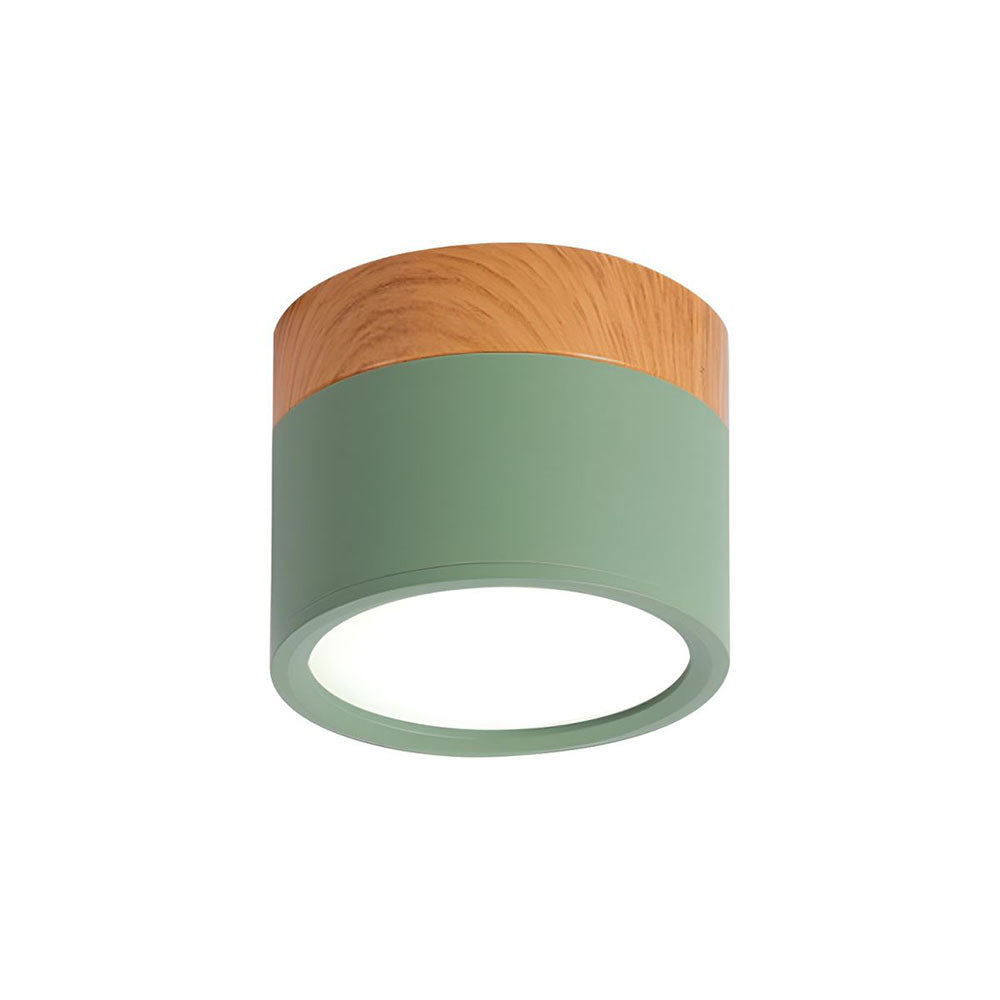 LIGHTS & BRIGHTS | Cylinder Flush Mount LED Ceiling Light for Modern Home