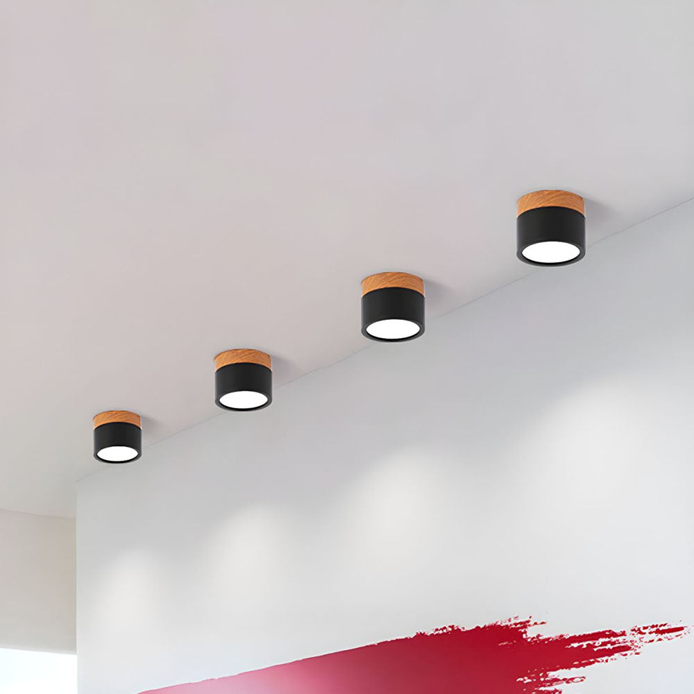LIGHTS & BRIGHTS | Cylinder Flush Mount LED Ceiling Light for Modern Home