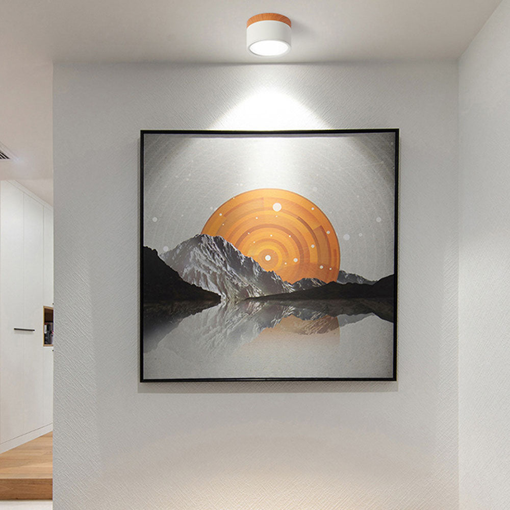 LIGHTS & BRIGHTS | Cylinder Flush Mount LED Ceiling Light for Modern Home