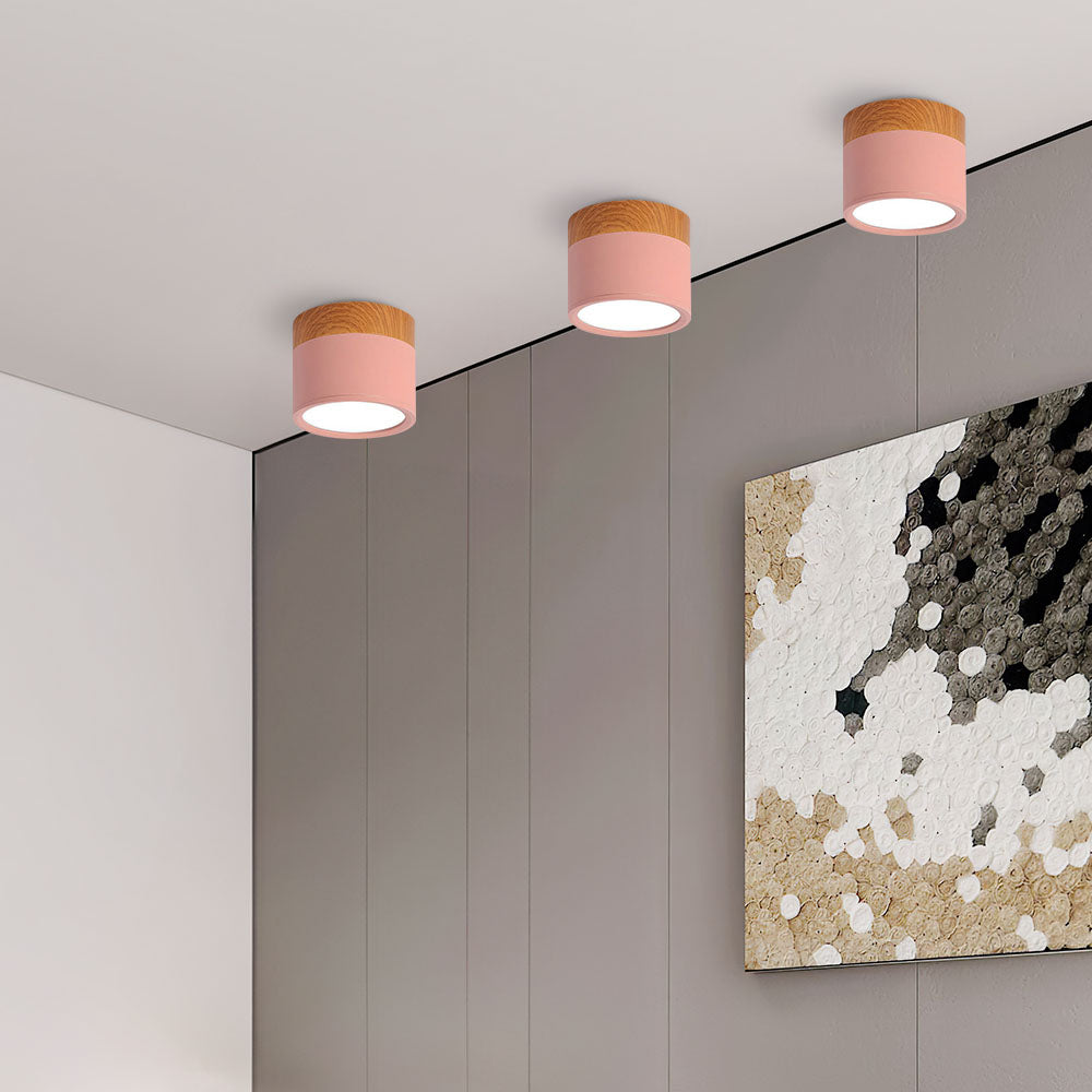 LIGHTS & BRIGHTS | Cylinder Flush Mount LED Ceiling Light for Modern Home