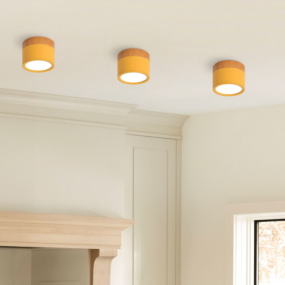 LIGHTS & BRIGHTS | Cylinder Flush Mount LED Ceiling Light for Modern Home