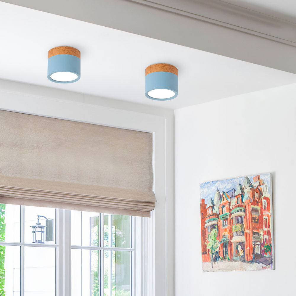 LIGHTS & BRIGHTS | Cylinder Flush Mount LED Ceiling Light for Modern Home