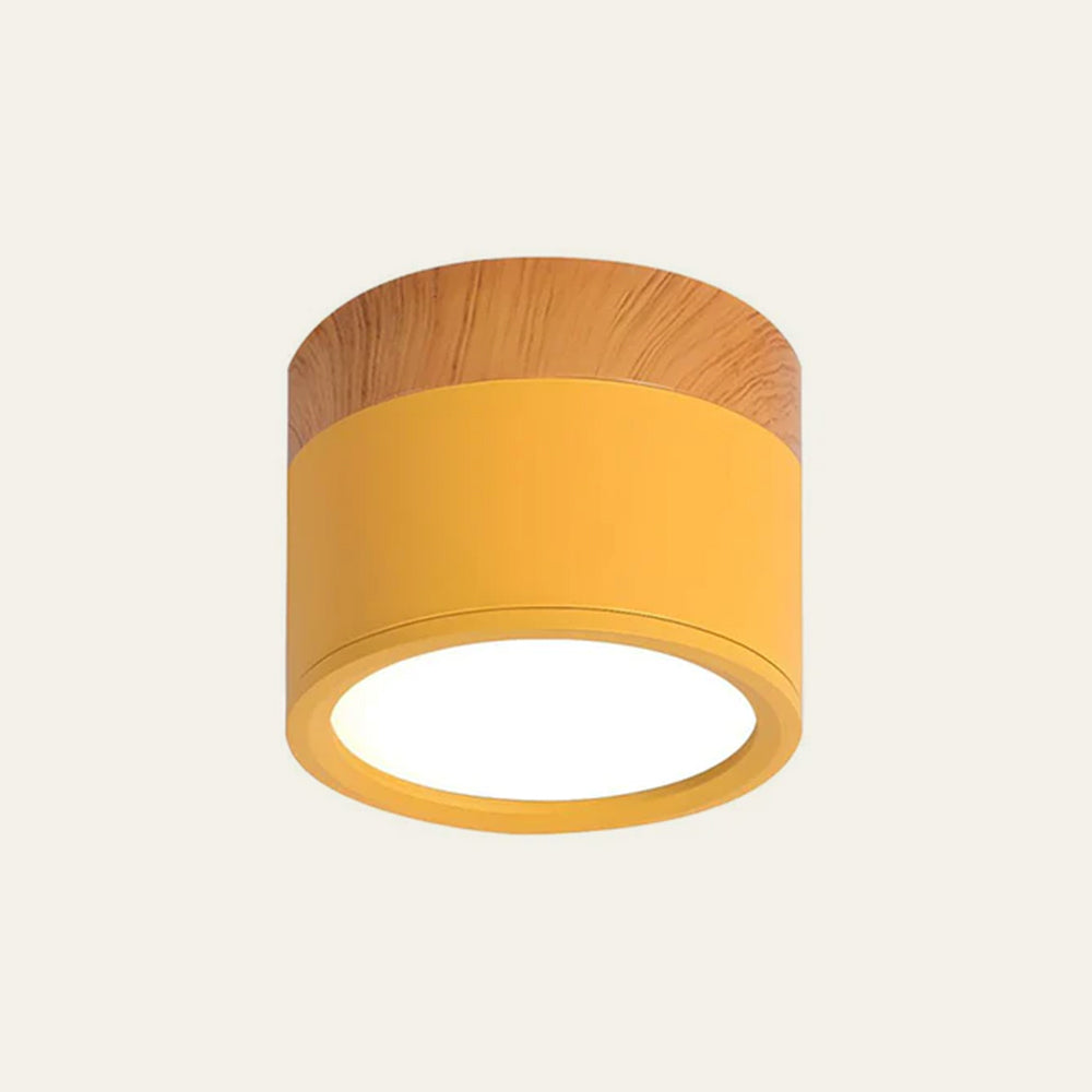 LIGHTS & BRIGHTS | Cylinder Flush Mount LED Ceiling Light for Modern Home