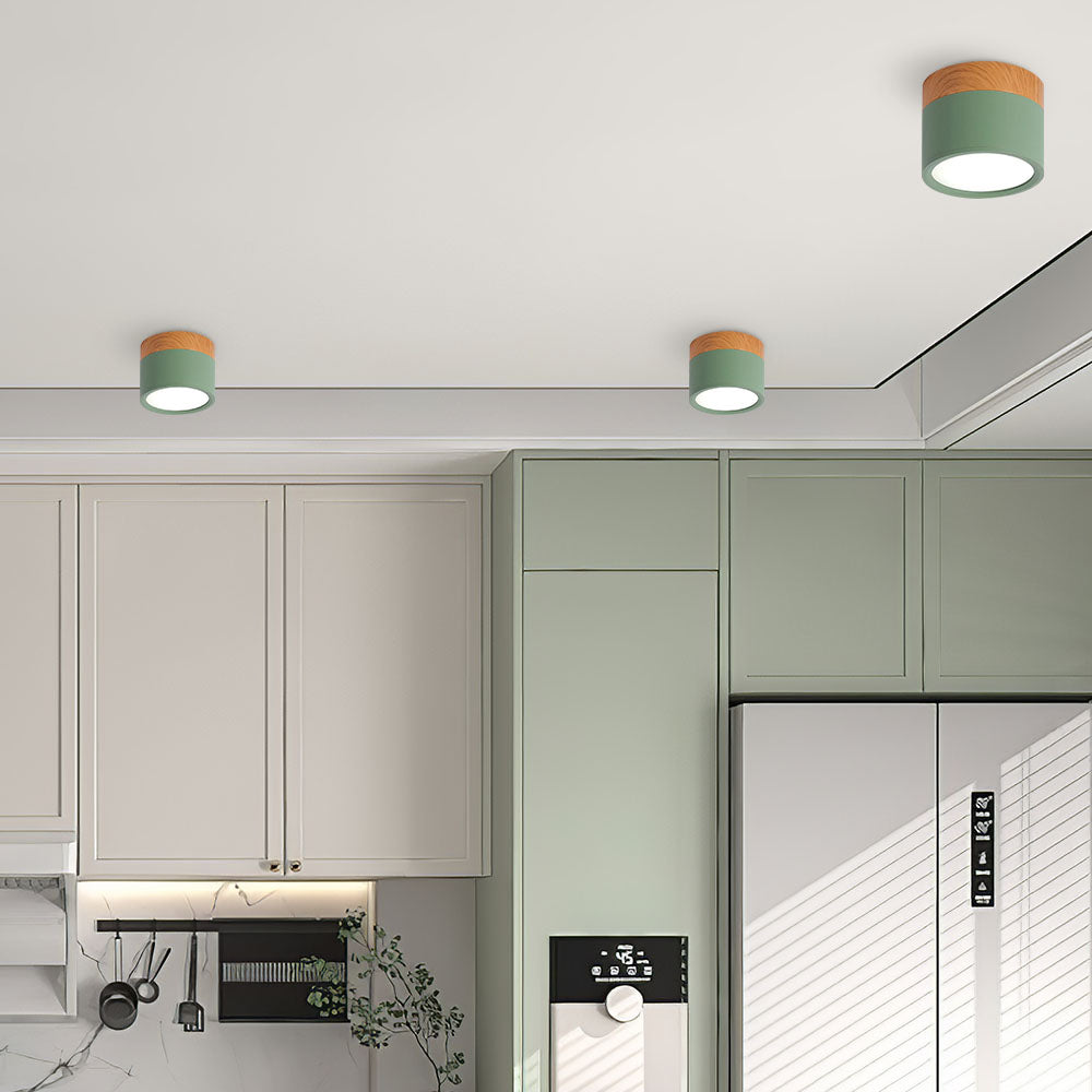 LIGHTS & BRIGHTS | Cylinder Flush Mount LED Ceiling Light for Modern Home