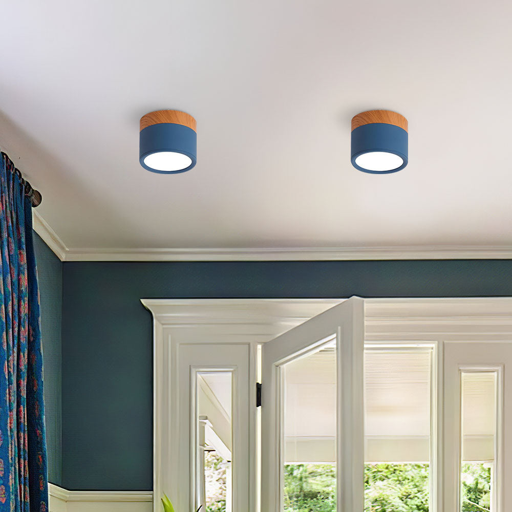 LIGHTS & BRIGHTS | Cylinder Flush Mount LED Ceiling Light for Modern Home