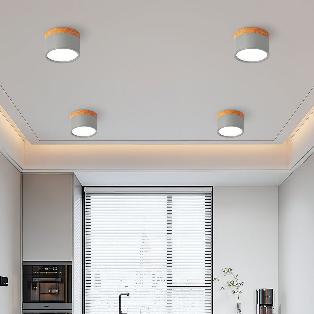 LIGHTS & BRIGHTS | Cylinder Flush Mount LED Ceiling Light for Modern Home