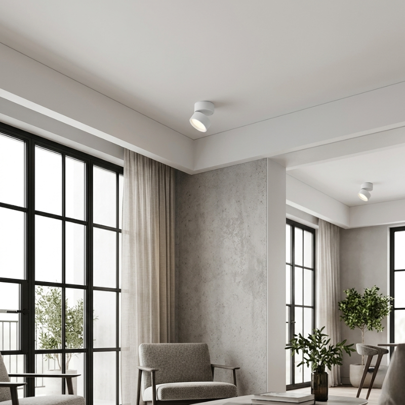 Lights & Brights Modern Adjustable LED Ceiling Spotlight