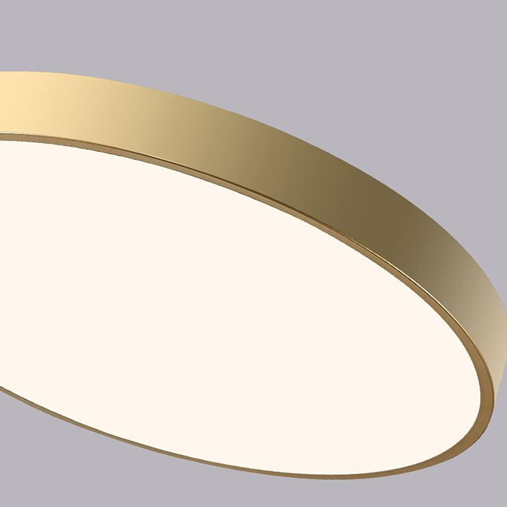 LIGHTS & BRIGHTS | Circular Flush Mount LED Ceiling Light For Living Room