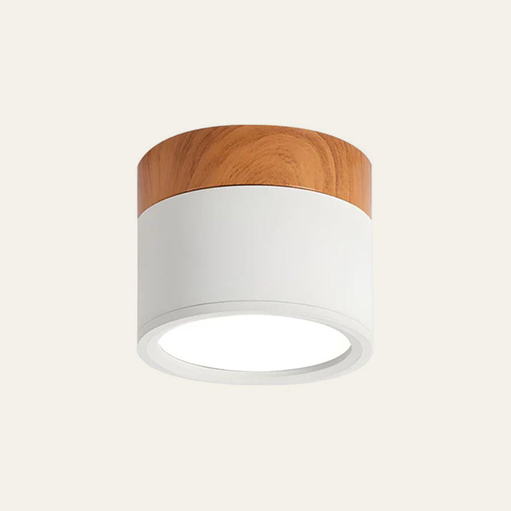 LIGHTS & BRIGHTS | Cylinder Flush Mount LED Ceiling Light for Modern Home