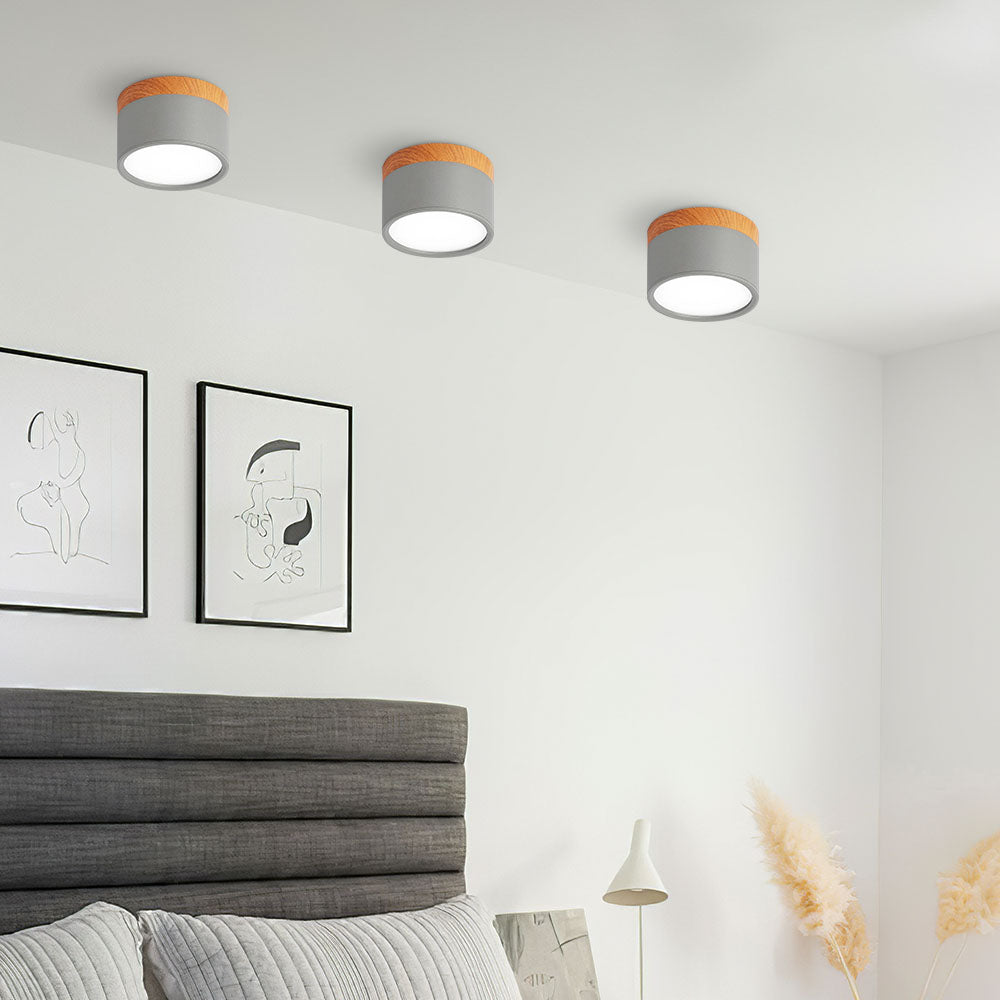 LIGHTS & BRIGHTS | Cylinder Flush Mount LED Ceiling Light for Modern Home