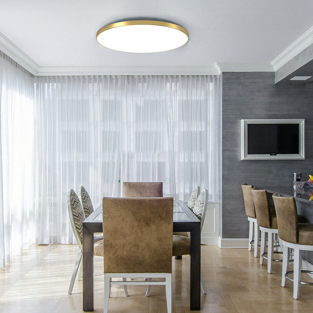 LIGHTS & BRIGHTS | Slim Minimalist LED Ceiling Light , Living Room