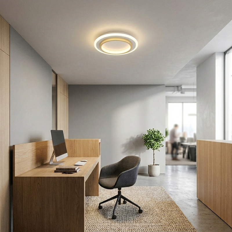 Lights & Brights Modern Round Slim LED Ceiling Light – Iron & Acrylic