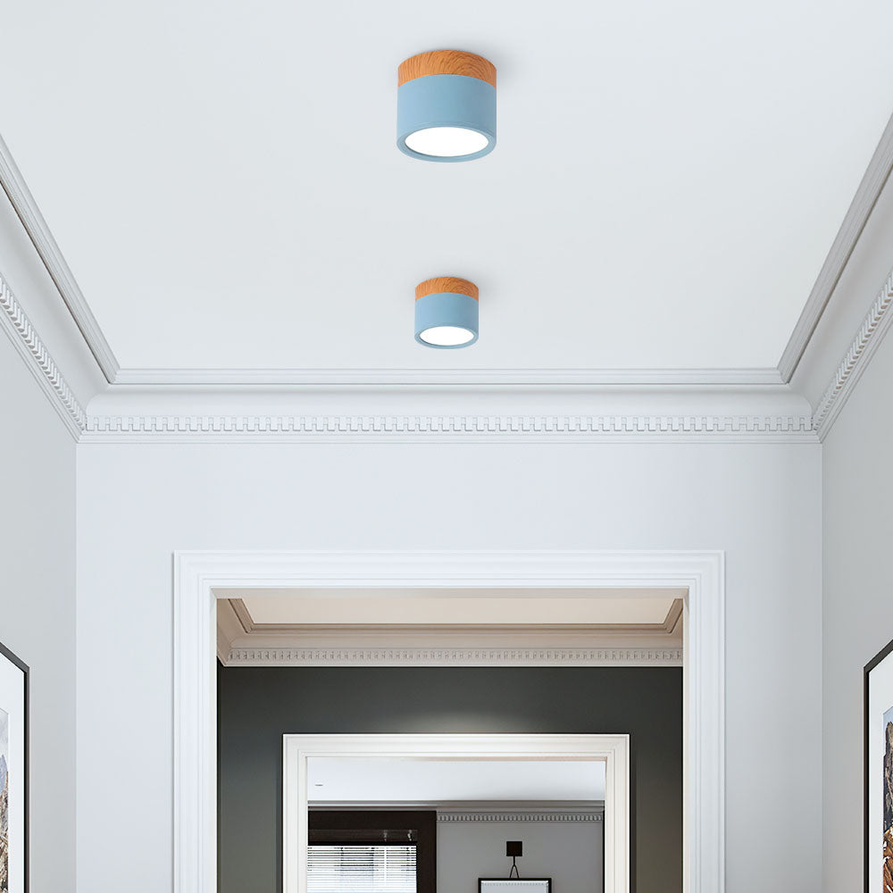 LIGHTS & BRIGHTS | Cylinder Flush Mount LED Ceiling Light for Modern Home