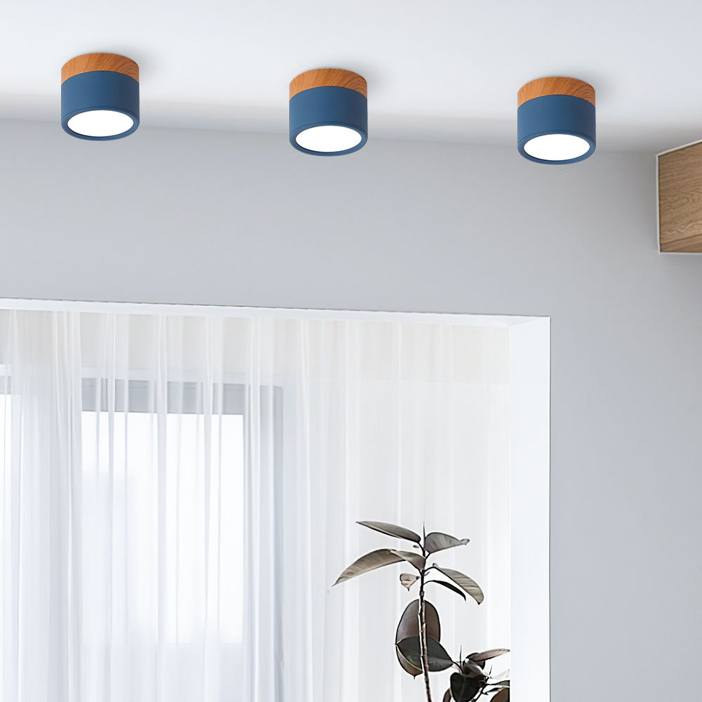LIGHTS & BRIGHTS | Cylinder Flush Mount LED Ceiling Light for Modern Home