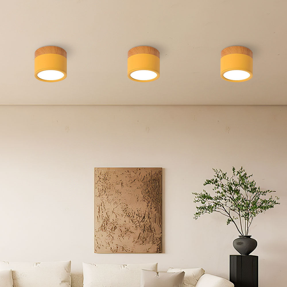 LIGHTS & BRIGHTS | Cylinder Flush Mount LED Ceiling Light for Modern Home