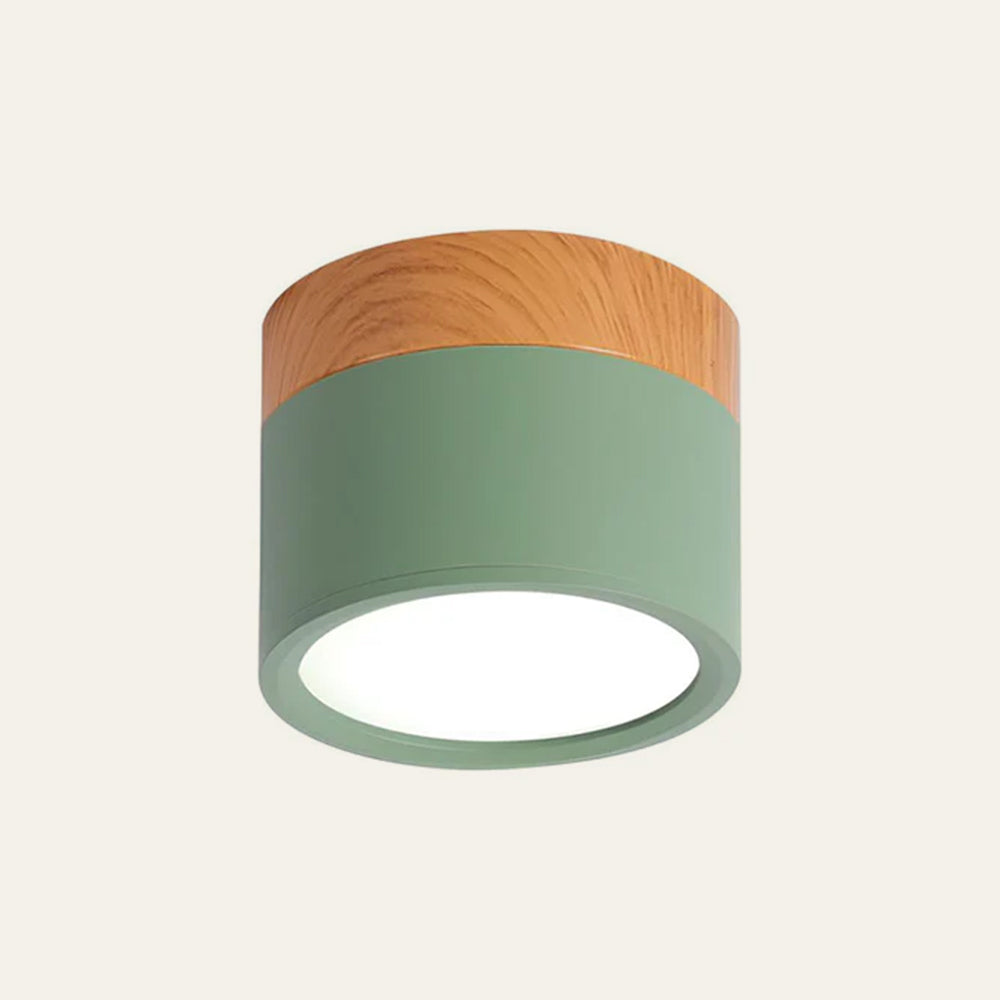 LIGHTS & BRIGHTS | Cylinder Flush Mount LED Ceiling Light for Modern Home