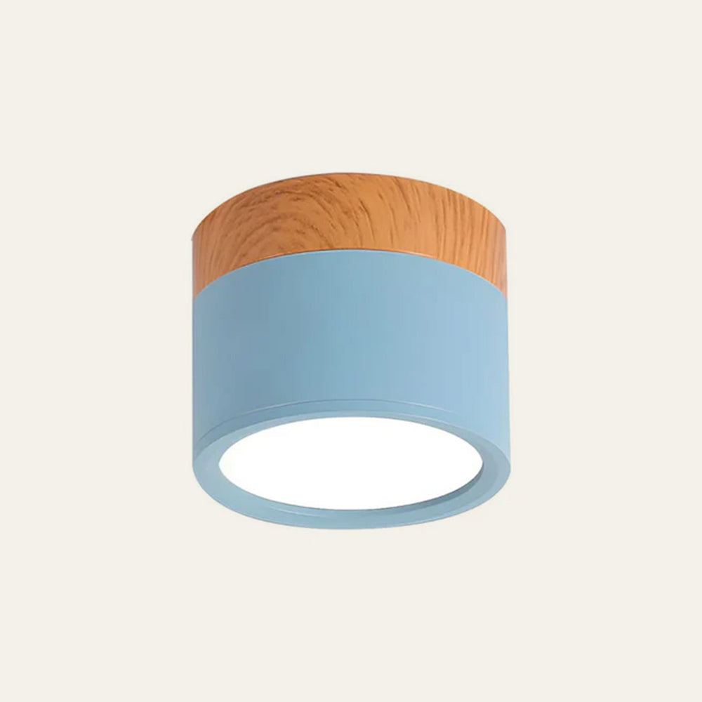 LIGHTS & BRIGHTS | Cylinder Flush Mount LED Ceiling Light for Modern Home