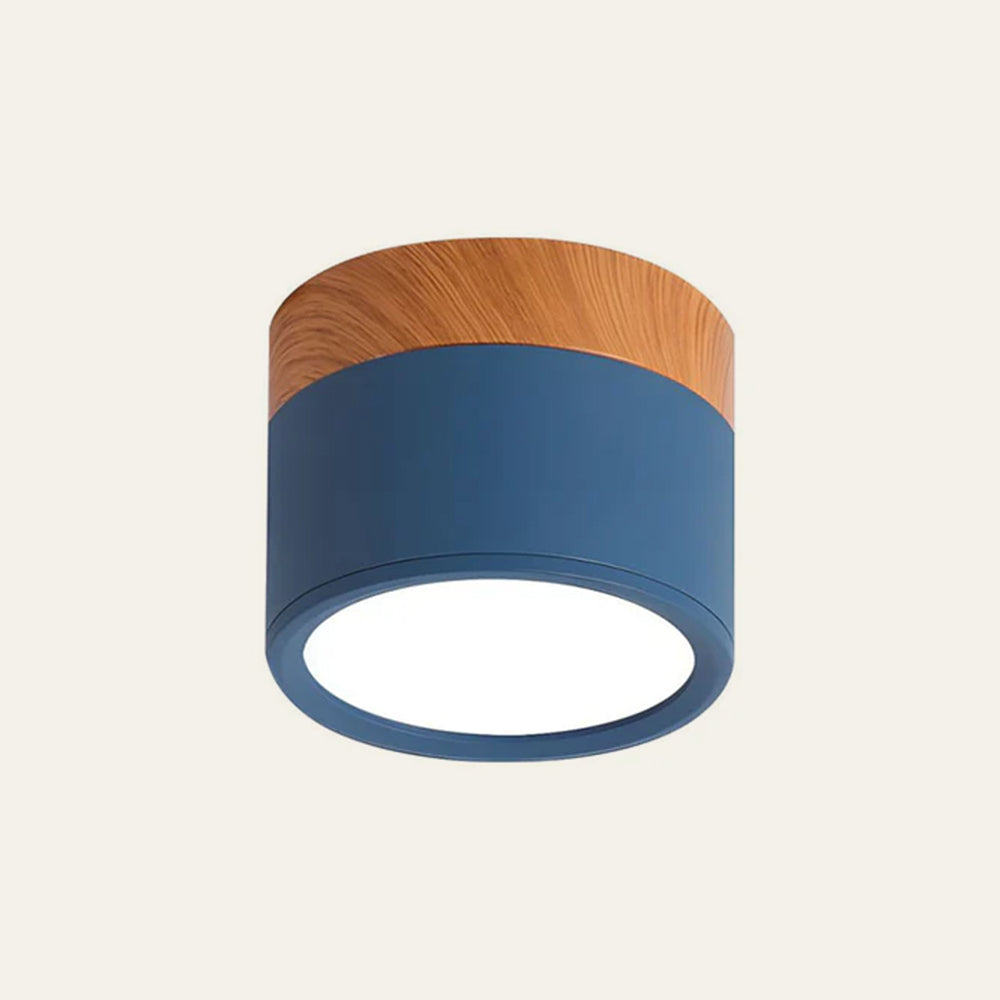 LIGHTS & BRIGHTS | Cylinder Flush Mount LED Ceiling Light for Modern Home