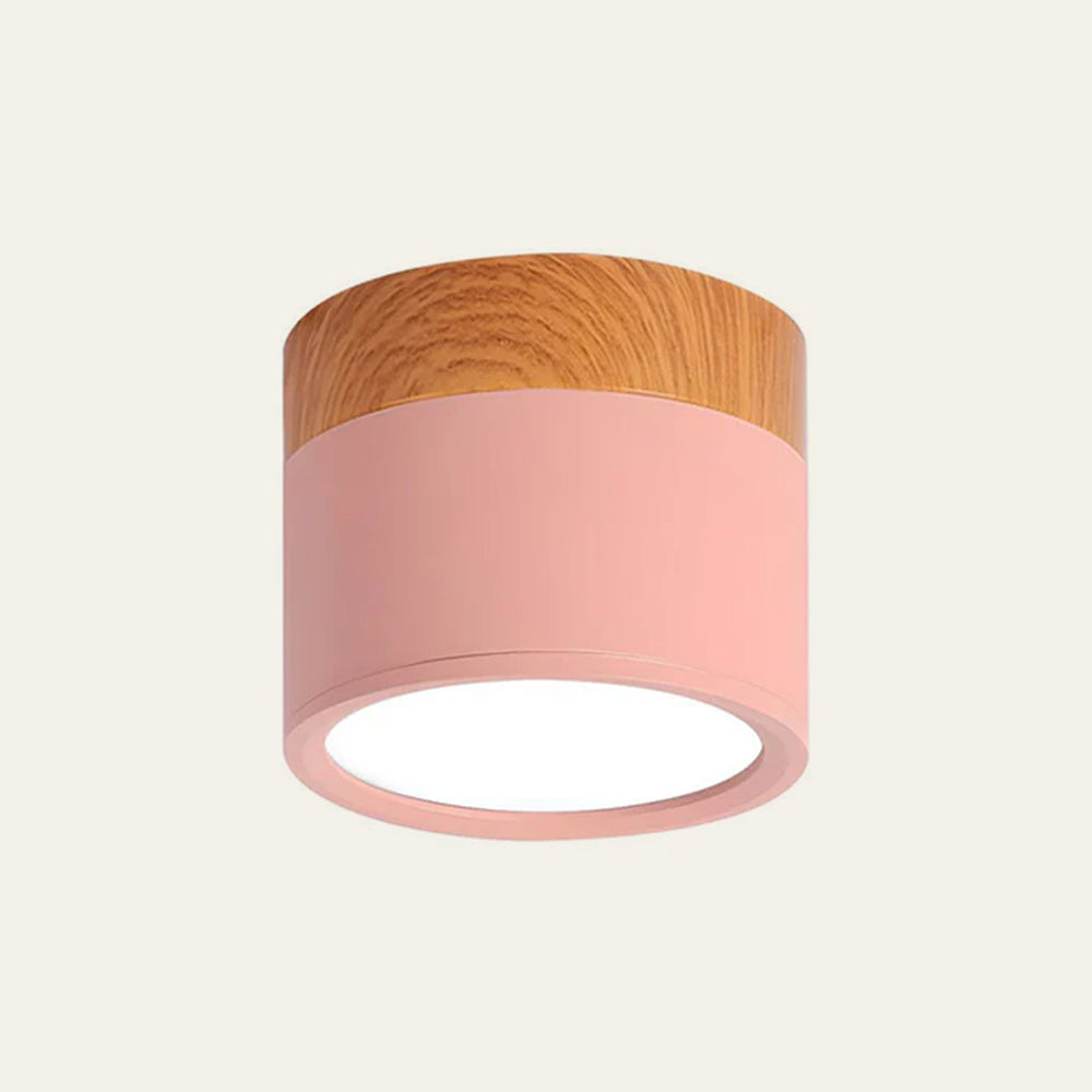 LIGHTS & BRIGHTS | Cylinder Flush Mount LED Ceiling Light for Modern Home