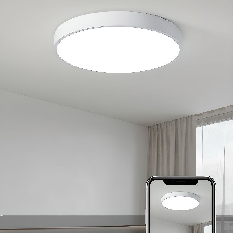 LIGHTS & BRIGHTS | Circular Flush Mount LED Ceiling Light For Living Room