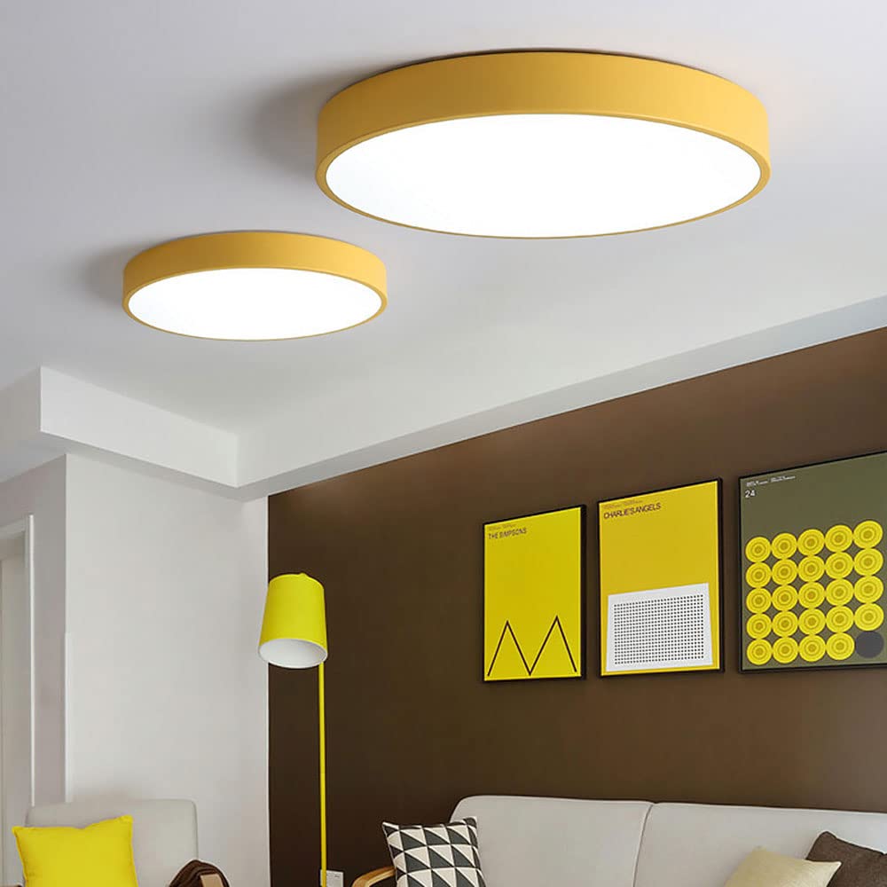 LIGHTS & BRIGHTS | Circular Flush Mount LED Ceiling Light For Living Room