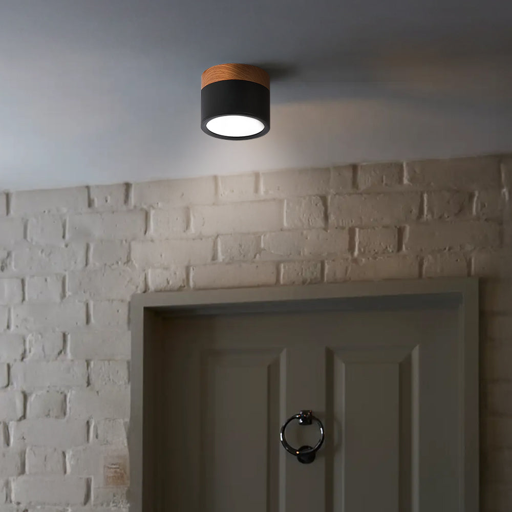 LIGHTS & BRIGHTS | Cylinder Flush Mount LED Ceiling Light for Modern Home