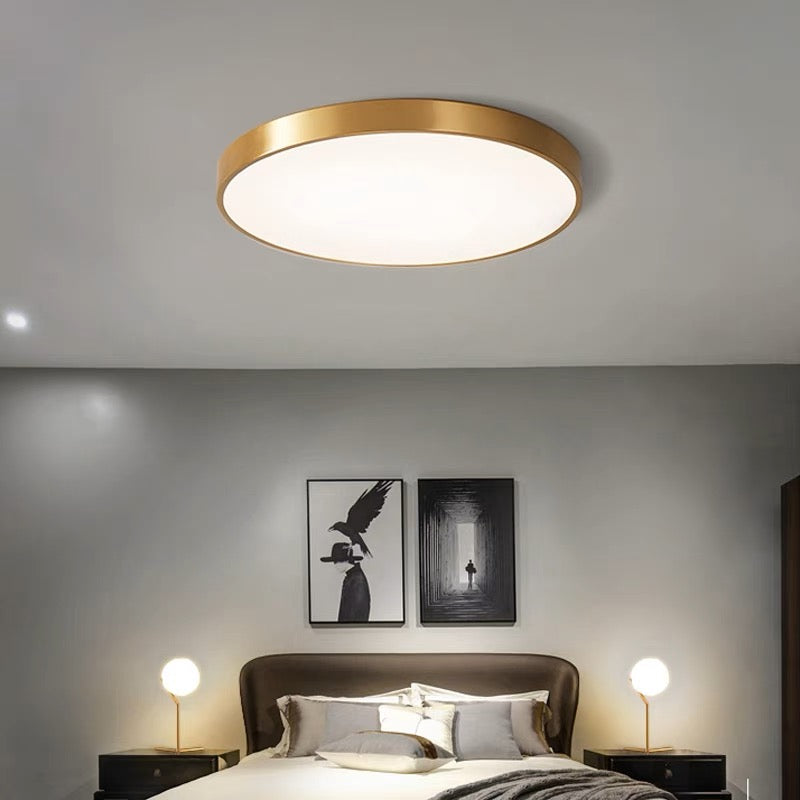 LIGHTS & BRIGHTS | Circular Flush Mount LED Ceiling Light For Living Room