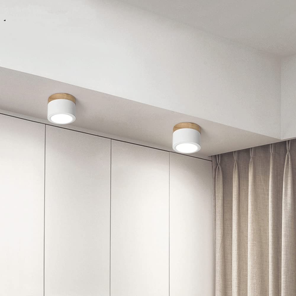 LIGHTS & BRIGHTS | Cylinder Flush Mount LED Ceiling Light for Modern Home