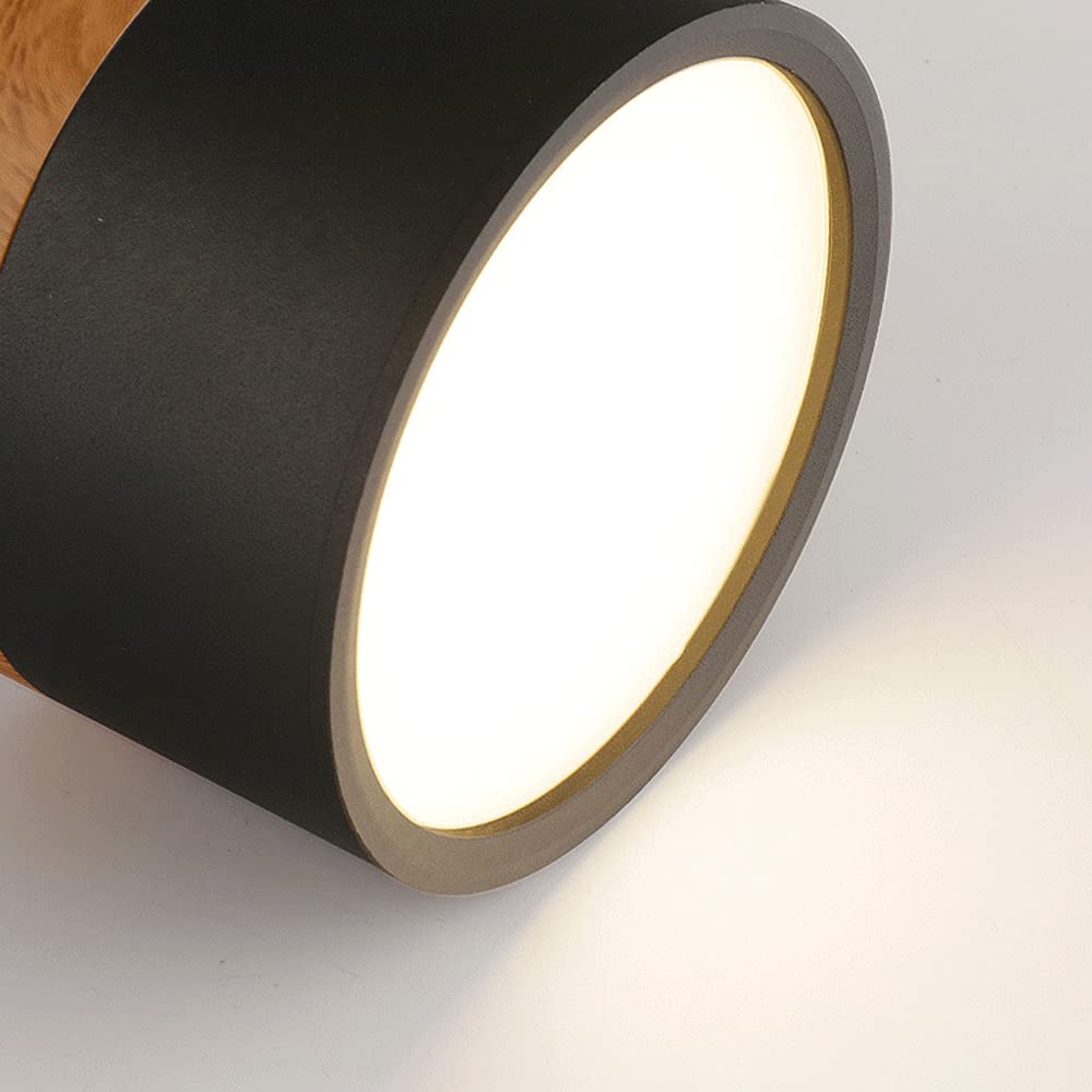 LIGHTS & BRIGHTS | Cylinder Flush Mount LED Ceiling Light for Modern Home